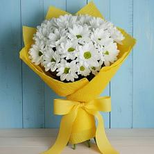 Букет цветов из:  Хризантемы в Ярославской Краснодарский край