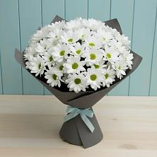 Букет цветов из:  Хризантемы в Ярославской Краснодарский край
