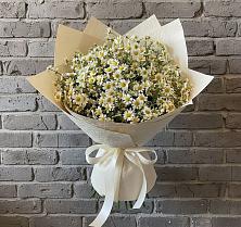 Букет цветов из:  Ромашки #REPLACE_PRED# Ярославской Краснодарский край
