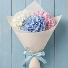 Букет цветов из:  Гортензия в Ярославской Краснодарский край