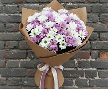 Букет цветов из:  Хризантемы в Ярославской Краснодарский край