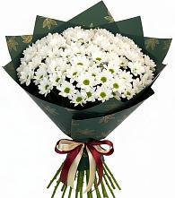 Букет цветов из:  Хризантемы в Ярославской Краснодарский край