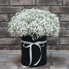Цветочная композиция из Гипсофила в шляпной коробке в Ярославской Краснодарский край