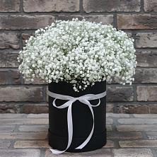 Цветочная композиция из Гипсофила в шляпной коробке в Ярославской Краснодарский край